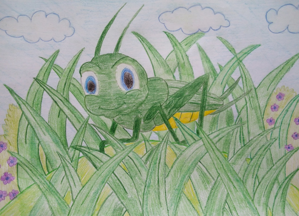 Детский рисунок - В траве сидел кузнечик