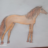 Рисунок "Конь Балио"