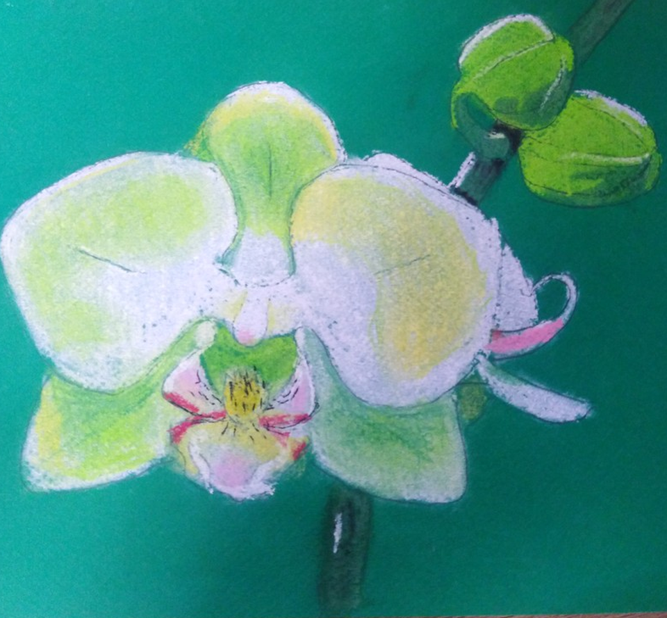 Детский рисунок - Орхидея