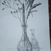 Рисунок "Сухоцветы" на конкурс "Конкурс творческого рисунка “Свободная тема-2021”"