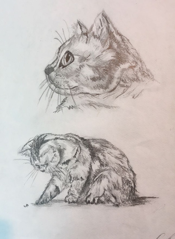 Детский рисунок - Все кошки в душе котята