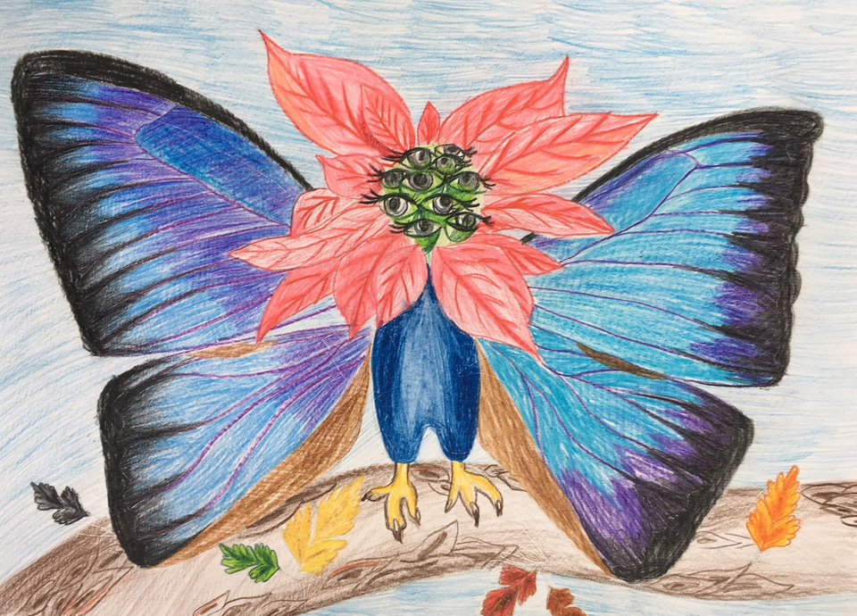 Детский рисунок - Бабочкокрылый Птицецвет