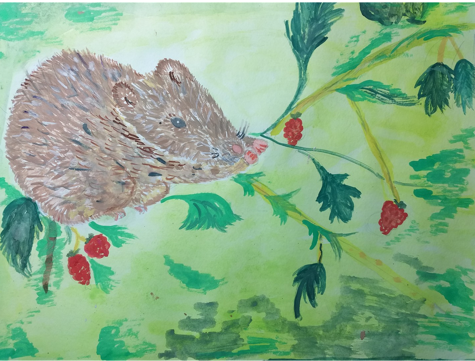 Детский рисунок - Мышка и ягодки