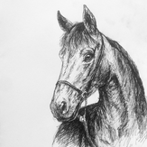 Рисунок "Благородный конь"