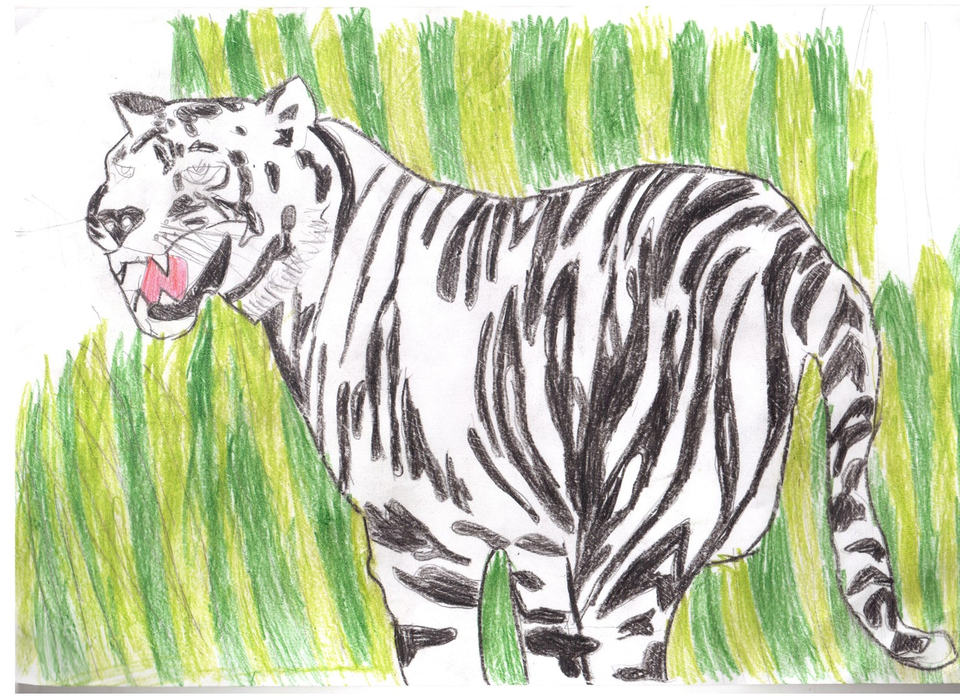 Детский рисунок - Бенгальский тигр