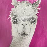 Рисунок "Любопытная лама" на конкурс "Конкурс творческого рисунка “Свободная тема-2022”"