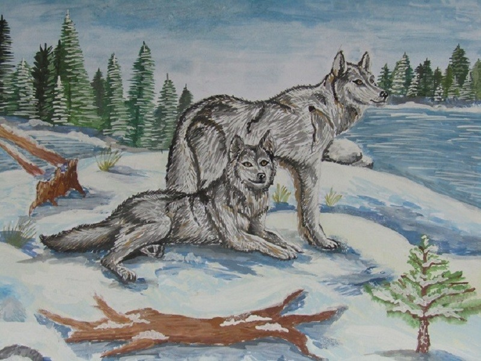 Детский рисунок - Волки