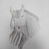 Рисунок "Лошадь" на конкурс "Конкурс творческого рисунка “Свободная тема-2020”"
