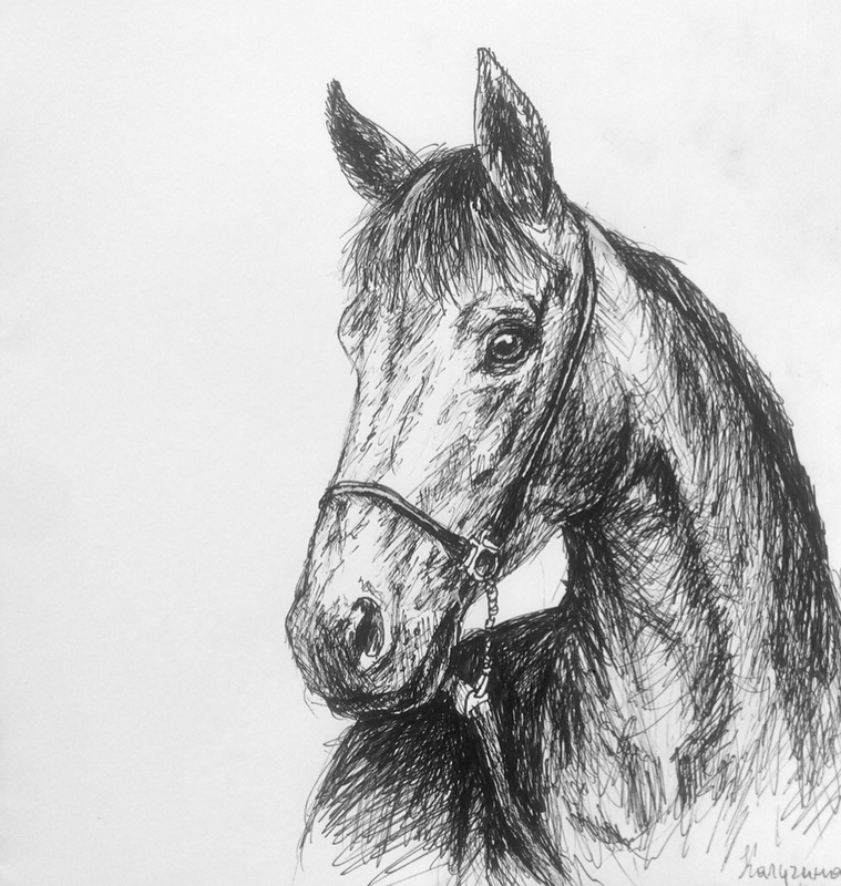 Детский рисунок - Благородный конь