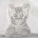 Рисунок "Котик"
