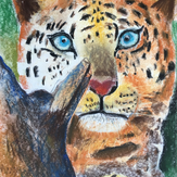 Рисунок "Леопард в джунглях" на конкурс "Конкурс детского рисунка "Любимое животное - 2018""