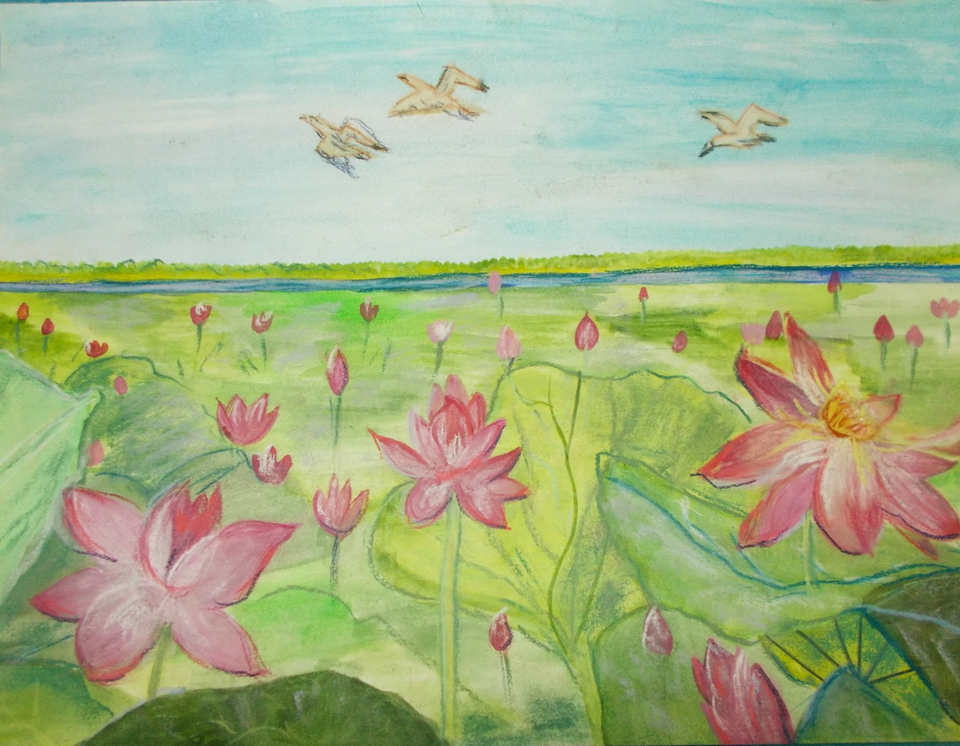 Детский рисунок - Лилии на озере
