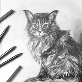 Рисунок "Котейка"