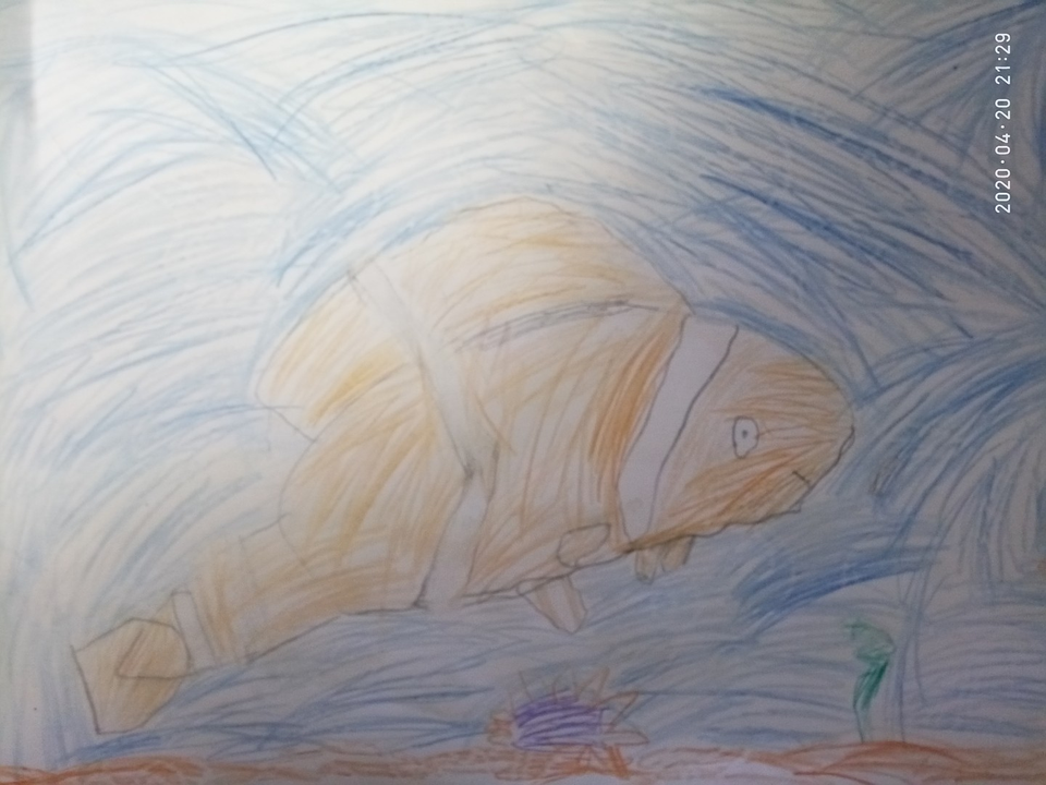 Детский рисунок - Рыба клоун