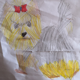 Рисунок "Собака мечты" на конкурс "Конкурс творческого рисунка “Свободная тема-2019”"