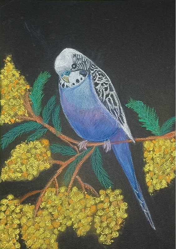 Детский рисунок - Волнистый попугайчик