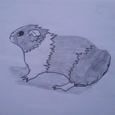 Рисунок "Морская свинка" на конкурс "Конкурс творческого рисунка “Свободная тема-2020”"