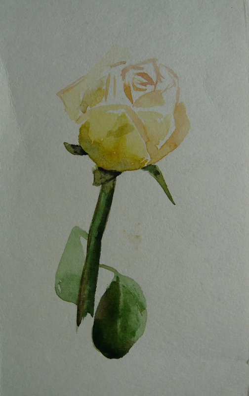 Рисунок - Желтая роза
