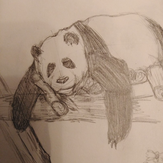 Рисунок "Спящая панда" на конкурс "Конкурс творческого рисунка “Свободная тема-2021”"