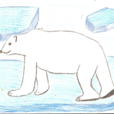 Рисунок "Белый медведь" на конкурс "Конкурс творческого рисунка “Свободная тема-2019”"