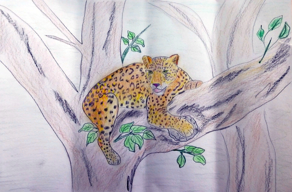 Детский рисунок - Леопард