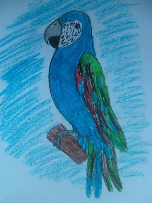 Детский рисунок - Попугайчик
