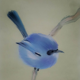 Рисунок "птица яркая"