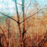 Рисунок "синичка" на конкурс "Фотоконкурс “Краски Осени - 2019”"