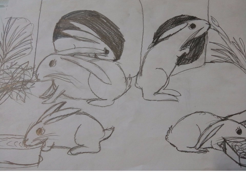 Детский рисунок - Крольчата