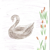 Рисунок "Лебедь" на конкурс "Конкурс творческого рисунка “Свободная тема-2019”"