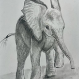 Рисунок "Слоненок" на конкурс "Конкурс творческого рисунка “Свободная тема-2021”"