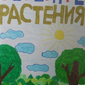 Берегите растения, София Семёнова, 9 лет