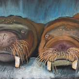 Рисунок "Отдыхающие моржи" на конкурс "Конкурс творческого рисунка “Свободная тема-2019”"