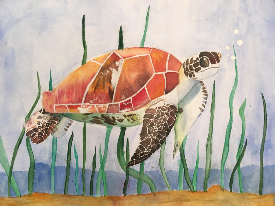 Детский рисунок - Большая черепаха