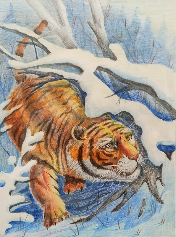 Детский рисунок - Амурский тигр
