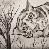 Рисунок "Тигр" на конкурс "Конкурс творческого рисунка “Свободная тема-2021”"