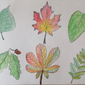 Листья деревьев, 82 Serhio, 9 лет