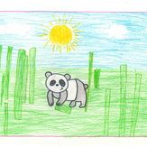 Рисунок "Панда" на конкурс "Конкурс детского рисунка "Любимое животное - 2018""