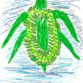 Рисунок "Морская черепаха"