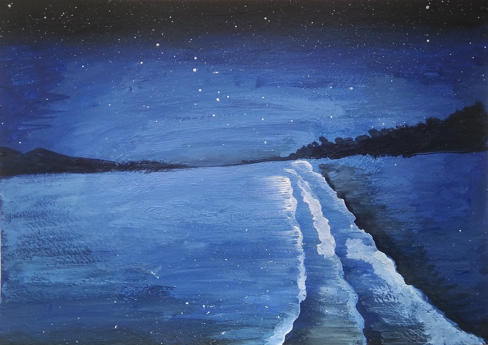 Рисунок - Ночное побережье