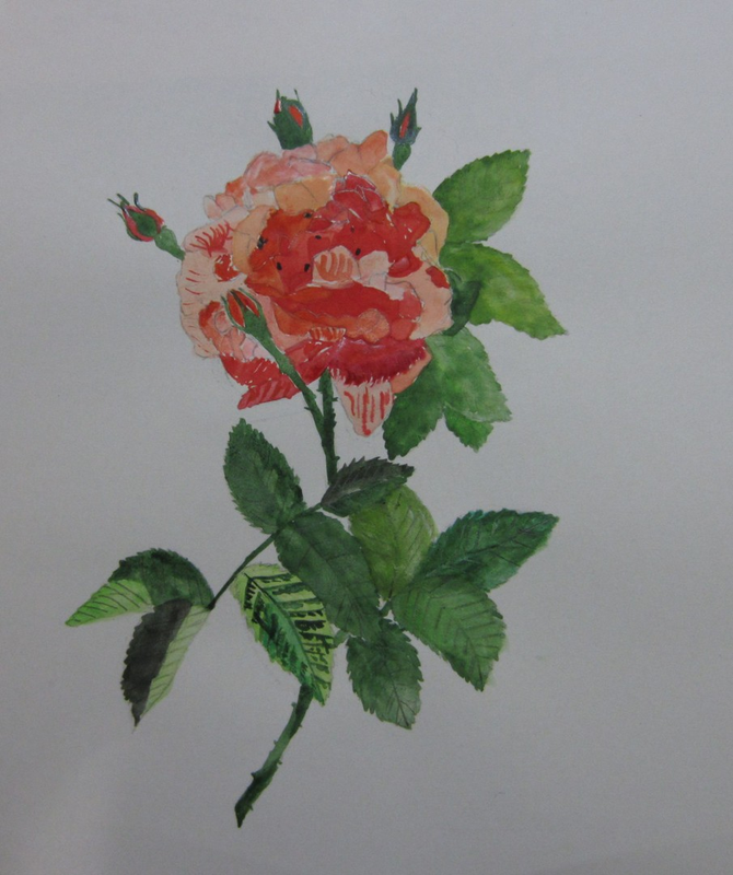Детский рисунок - Роза