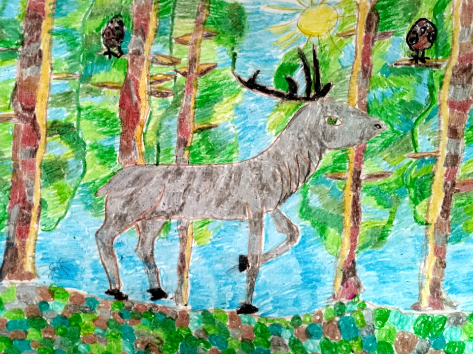 Детский рисунок - На лесной поляне
