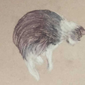 Спящий котик, Лиза Астахова, 10 лет