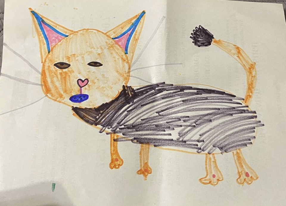 Детский рисунок - Кошка Мандаринка