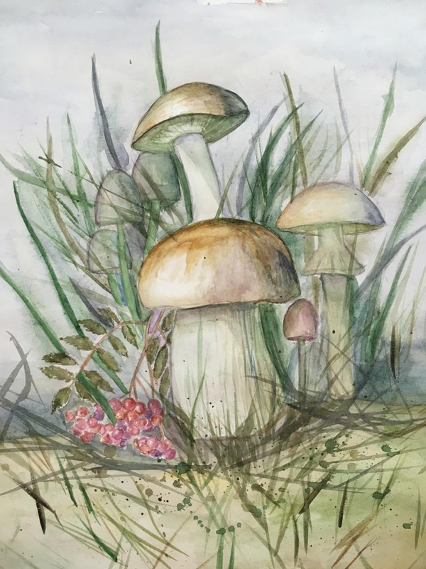 Детский рисунок - Лесные грибочки