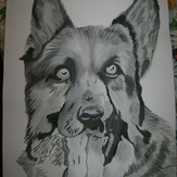 Рисунок "Собака"