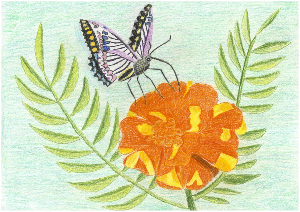 Детский рисунок - Разговор бабочки с цветком