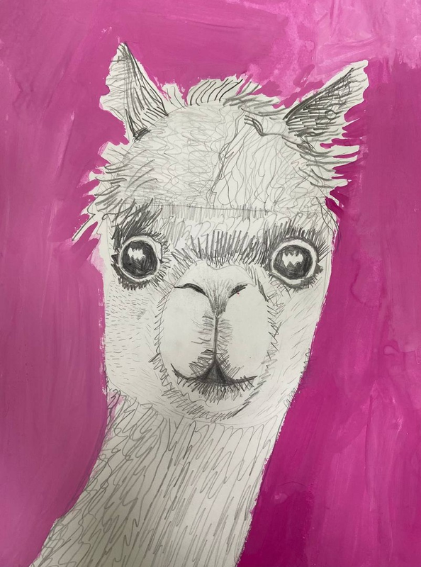Детский рисунок - Любопытная лама
