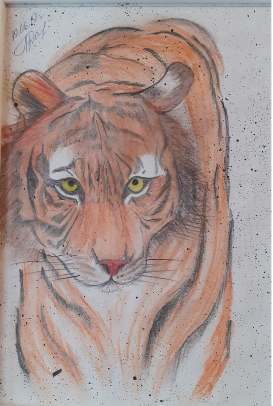 Рисунок - Тигр