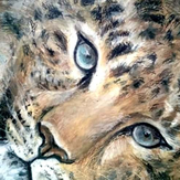 Рисунок "Леопард проникновенный взгляд"